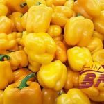 فروش گلخانه با تخفیف یک میلیاردی و امکانات کامل_16349