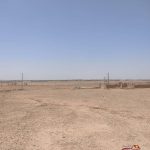 زمین کشاورزی دامداری_15867