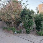 فروش کلنگی مسکونی 430 متر سند تکبرگ_16796