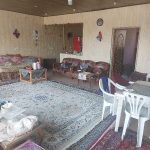فروش باغ میوه_17539