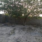 باغچه 500 متری چهاردیواری چهارباغ عرب اباد_17679