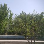 باغ آبسرد دماوند استخر اتاق فیلتراسیون سند 6 دانگ برق آب فنس_18204